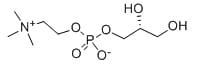 alpha glycerophosphocholine structural formula