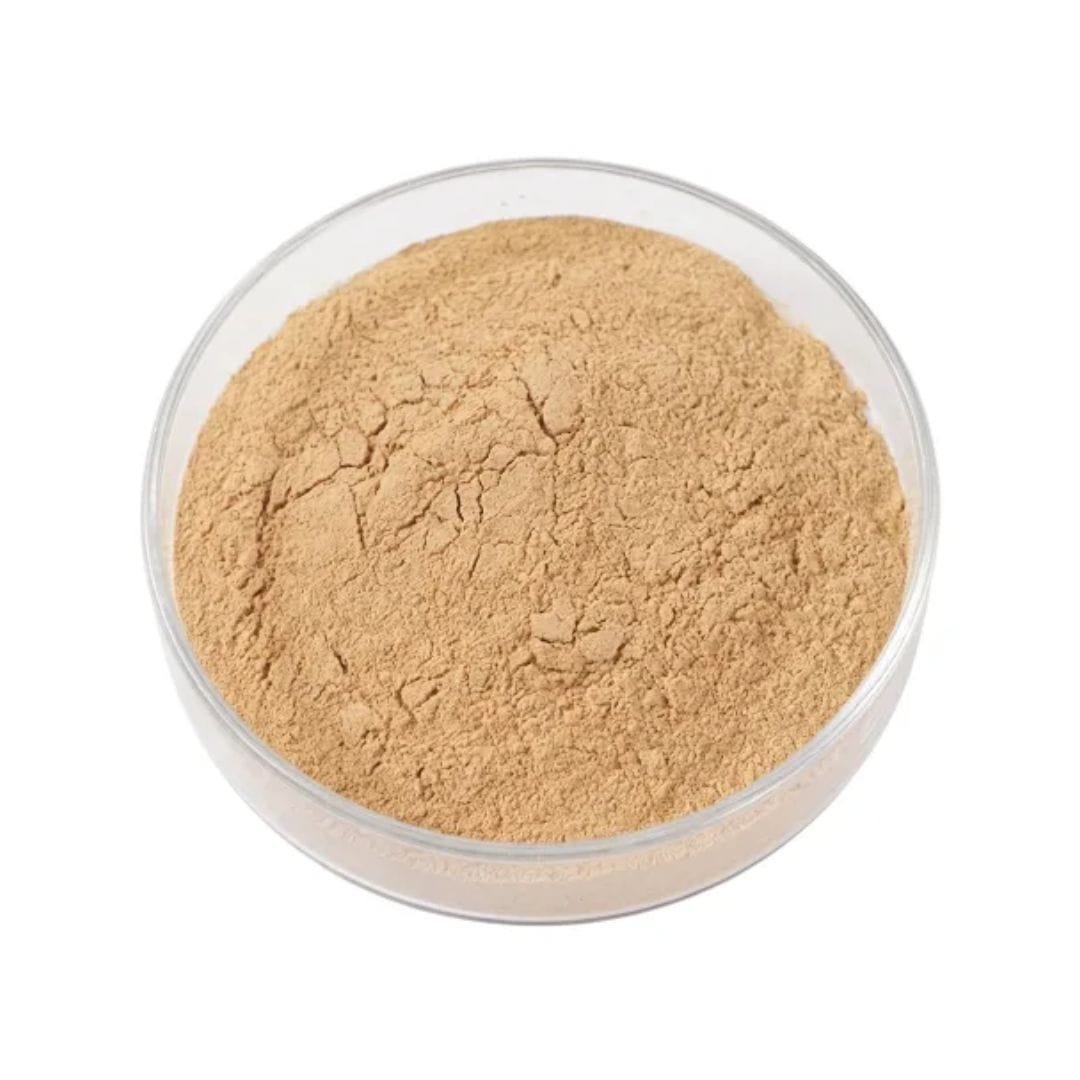 Silymarin Milk Thistle Extract